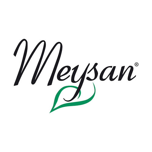 Meysan